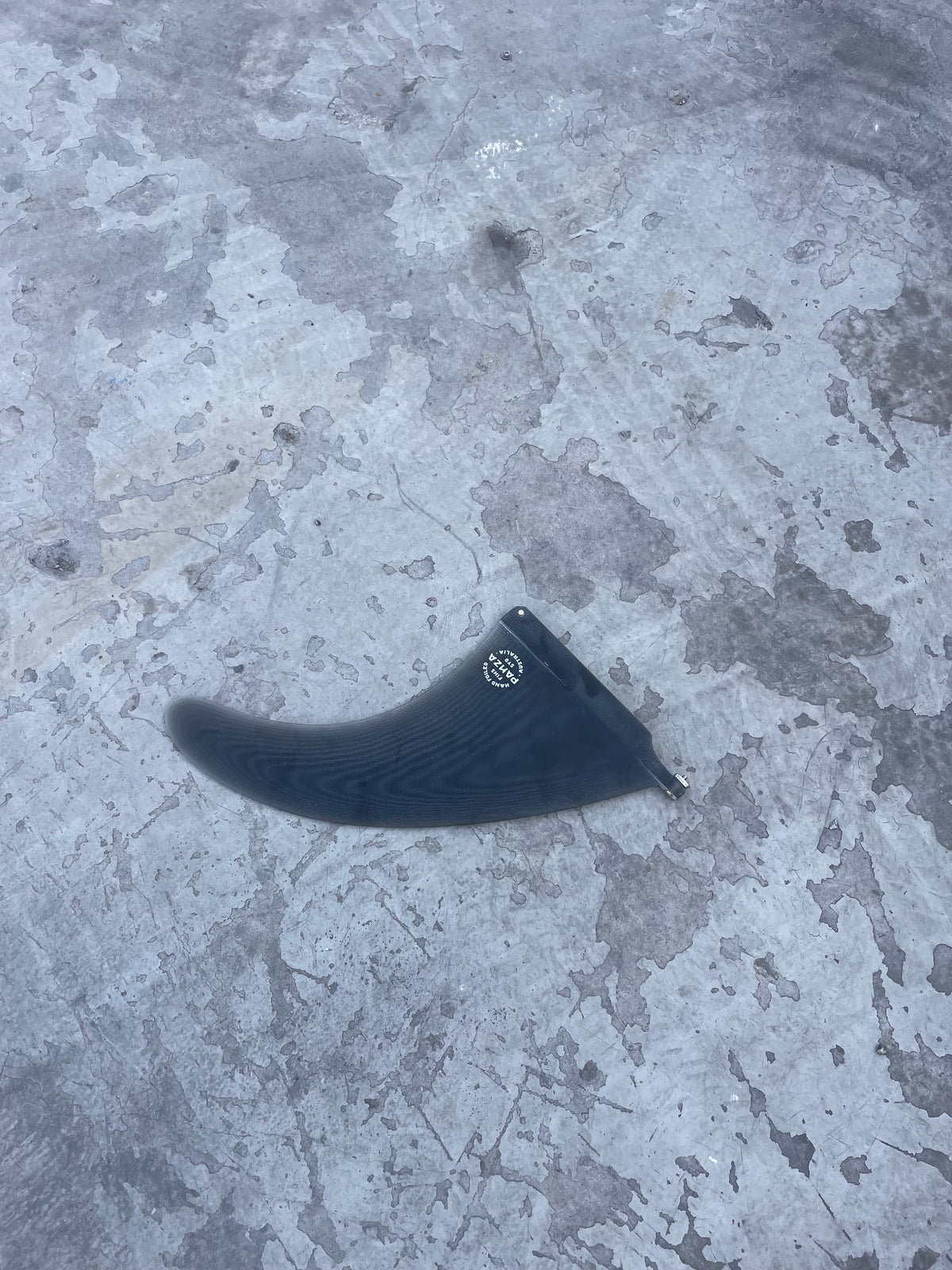 10" Dolphin
